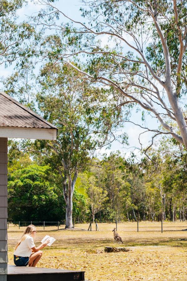 Kangarooms Noosa Everglades Cootharaba Buitenkant foto